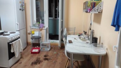 в Могилеве вынесли приговор