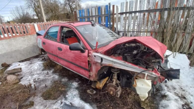 Под Дятлово отец доверил