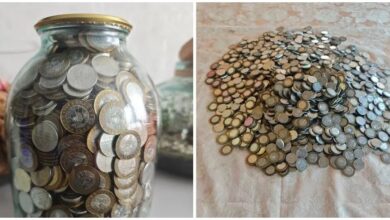 сколько денег накопила белорусская