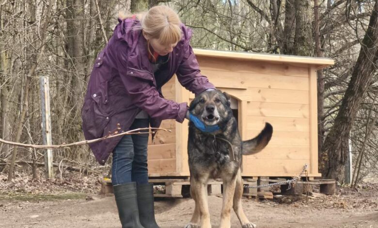 в гродненском САХе