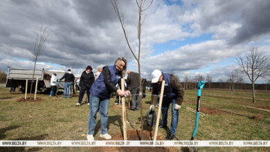 В Гродно общественники высадили