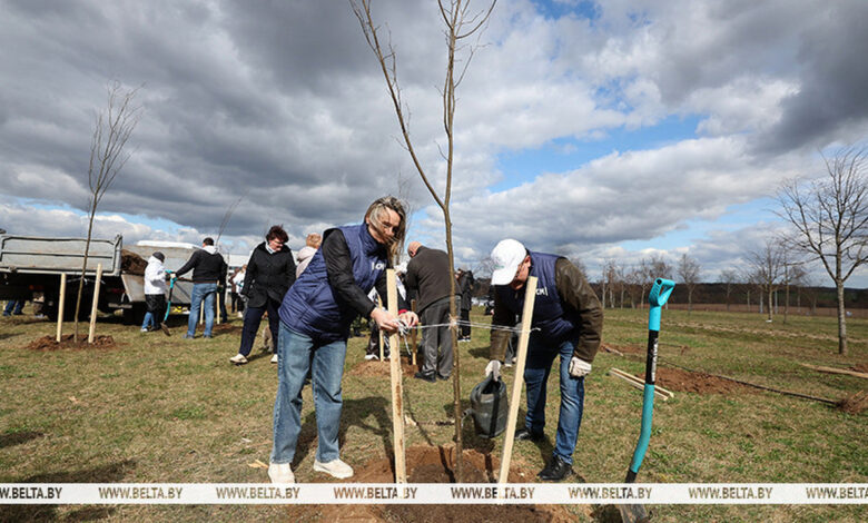 В Гродно общественники высадили