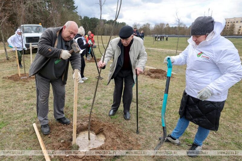В Гродно общественники высадили