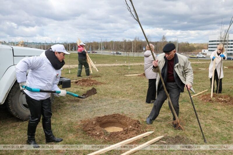 В Гродно общественники высадили