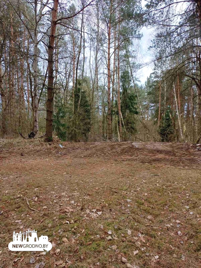 Стихийную свалку