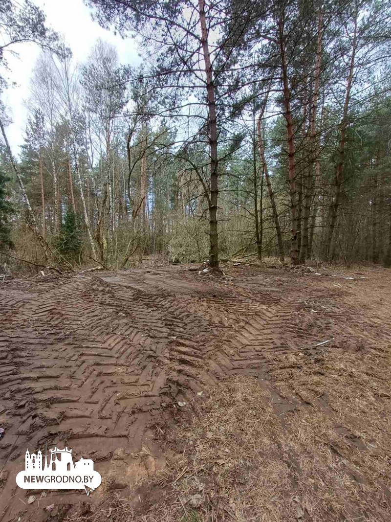 Стихийную свалку