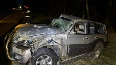 Под Зельвой из-за дикого животного опрокинулся «Hyundai»