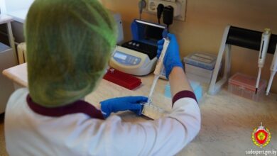 история белоруса