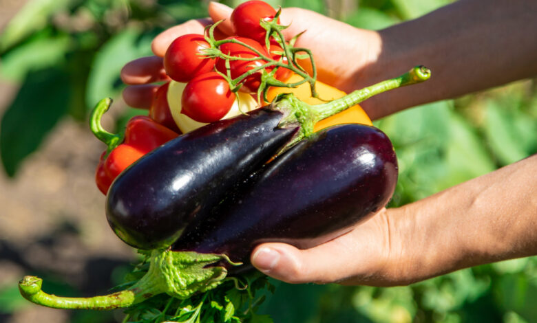 В Гродно начали сбор первого