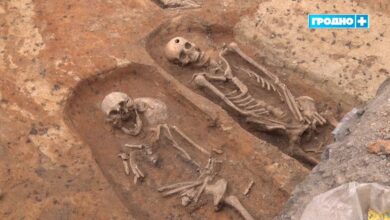 Более 50 захоронений нашли