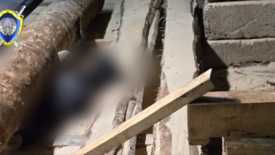 в Борисове на пилораме