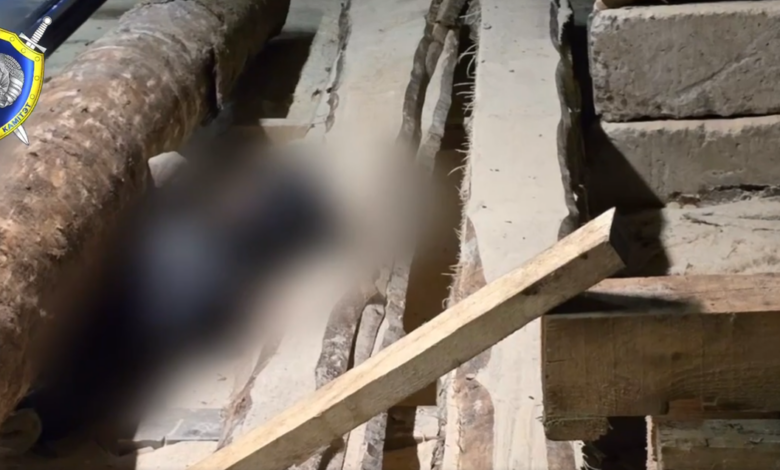 в Борисове на пилораме