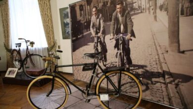 в Новом замке