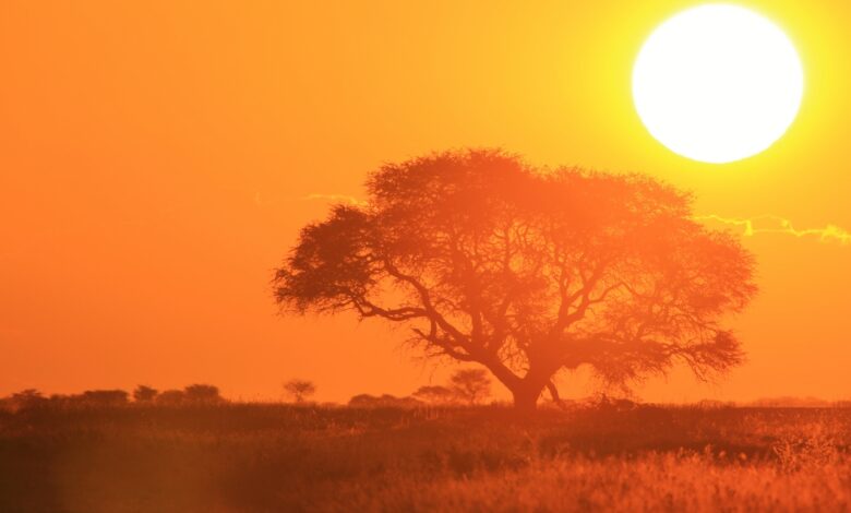 Станет ещё жарче: учёные