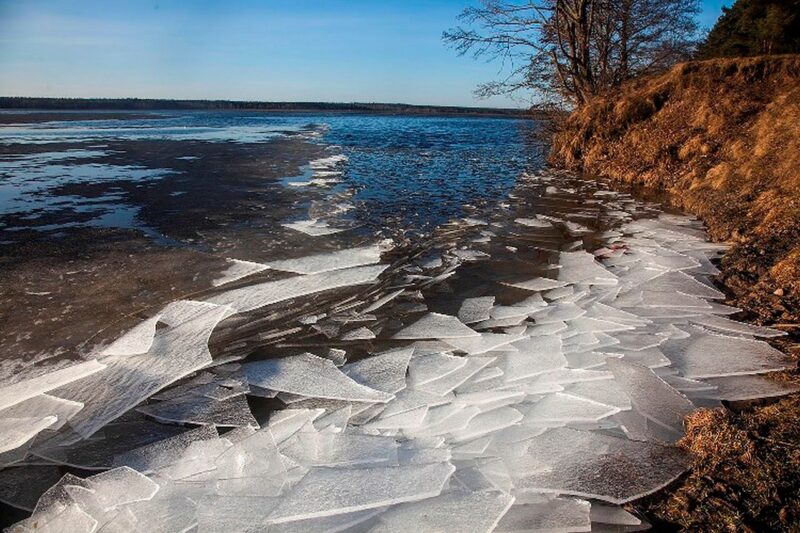 Апрель и май: чем удивит