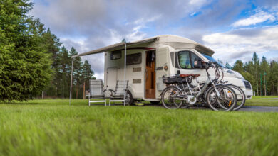 В Беларуси планируют развивать