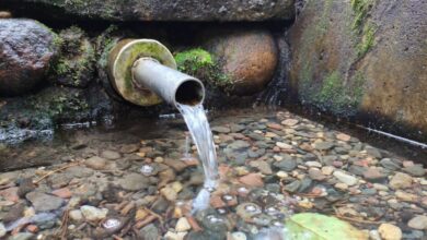 Родниковая вода — что привезут