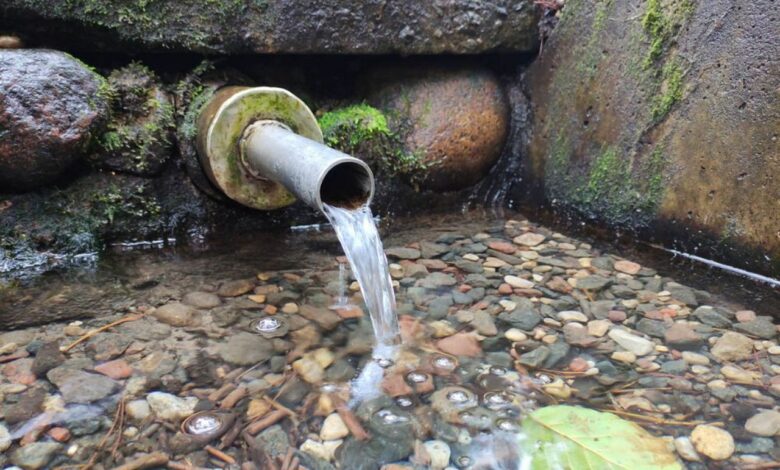 Родниковая вода — что привезут