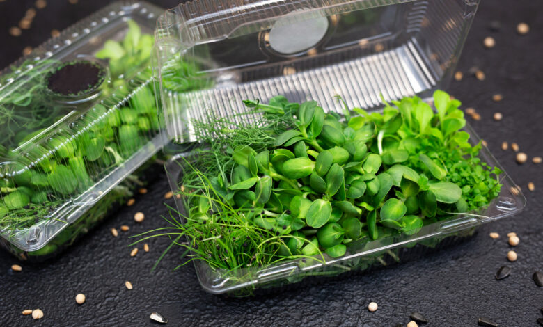 Как белорусские ученые омолаживают