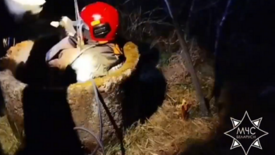 под Слонимом бойцы МЧС