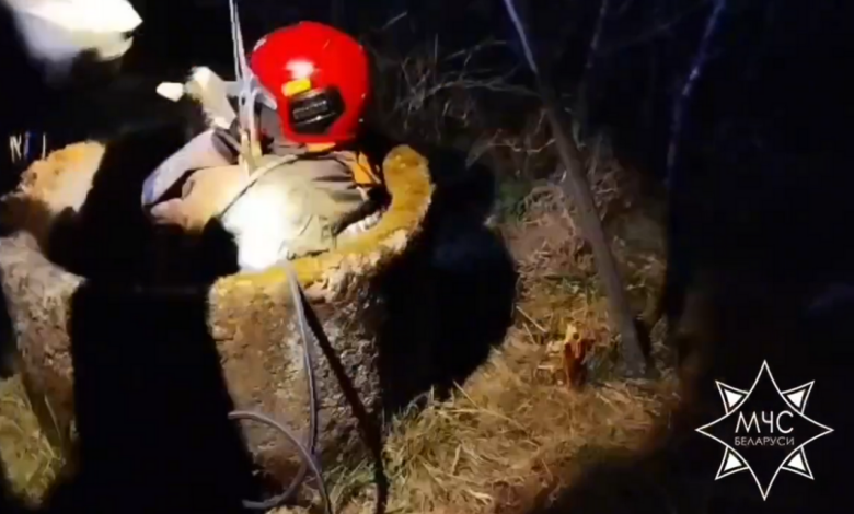 под Слонимом бойцы МЧС