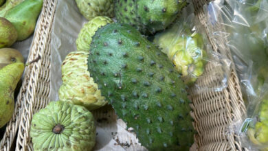 Редкие для белорусов фрукты