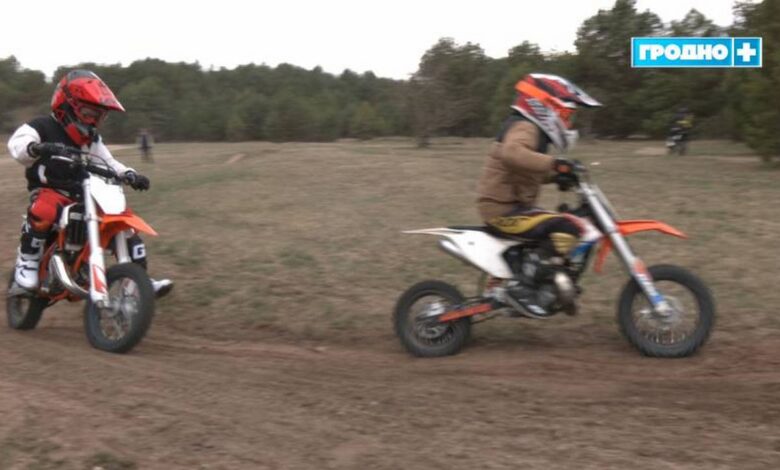 как гродненские спортсмены