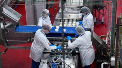 «Беллакт» отчитался