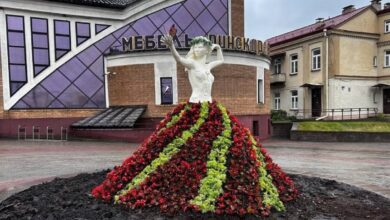 1,3 миллиона растений