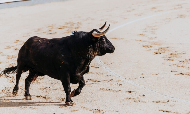 В Гродно по дороге бегал бычок