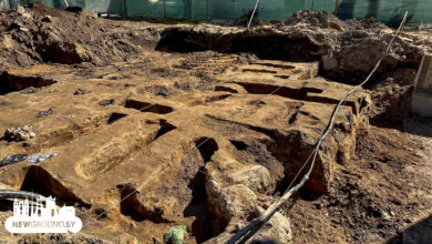 обычные горожане помогают археологам