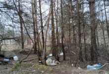 что беспокоит жителей Ольшанки