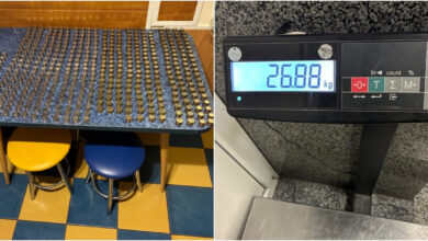 Белорус год копил монеты