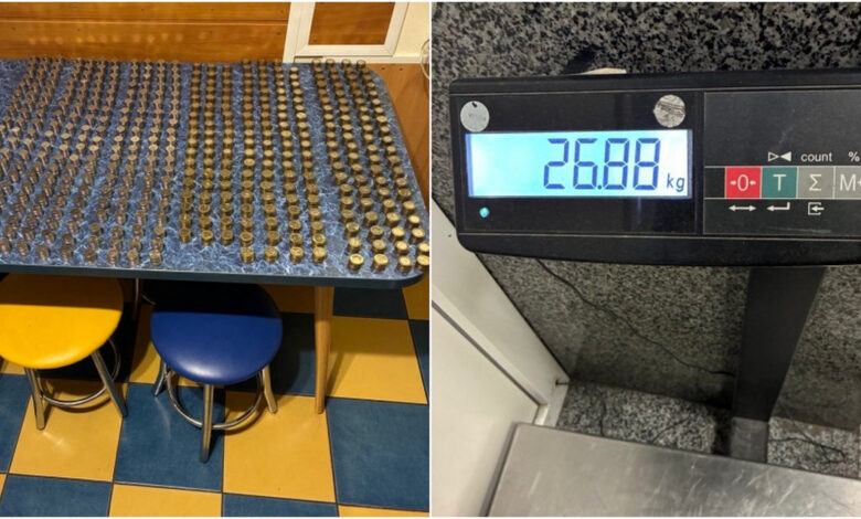 Белорус год копил монеты