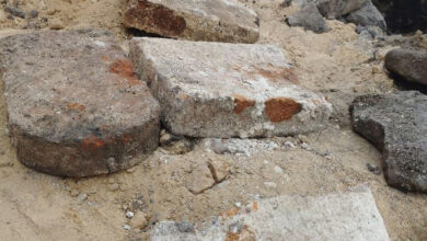 На территории