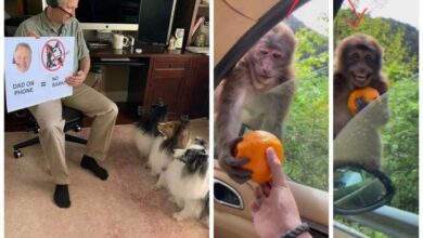 20 супер-мимимишных фотографий