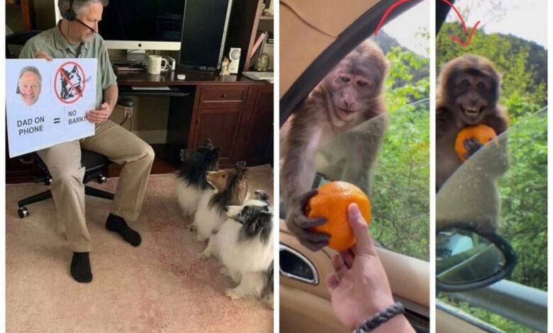 20 супер-мимимишных фотографий