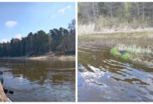 Пропавший под Гродно