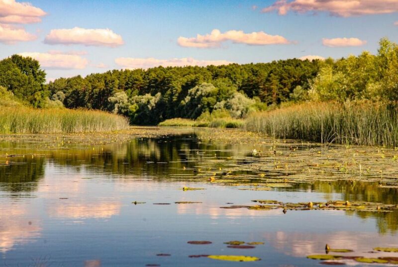 Путешествие по Беларуси: выбираем