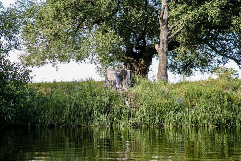 Путешествие по Беларуси: выбираем