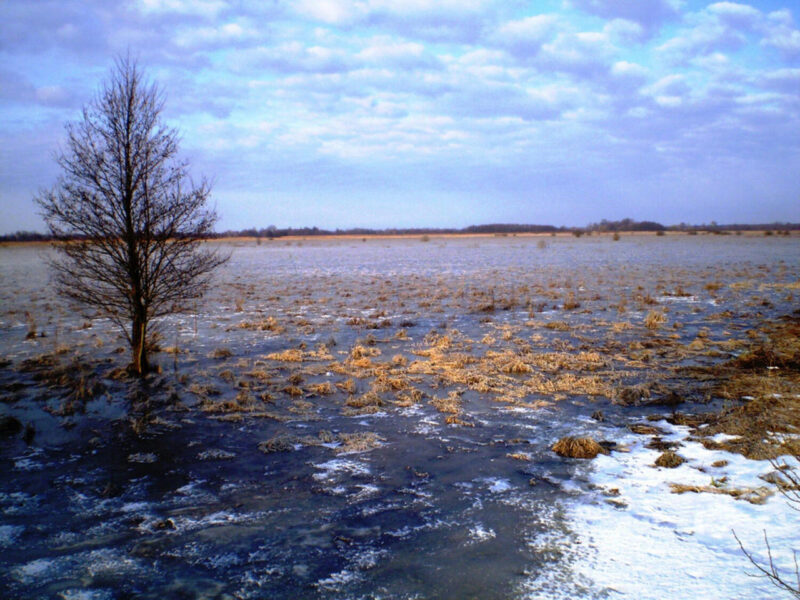 Путешествие по Беларуси: выбираем