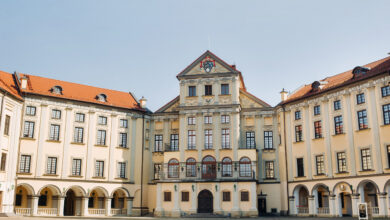 Фесты ярмарка выставки: чем