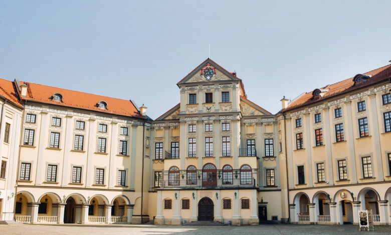 Фесты ярмарка выставки: чем