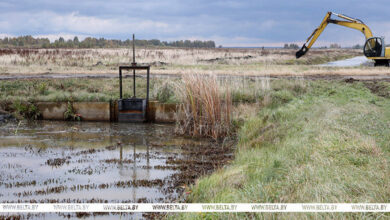 Лукашенко заявил