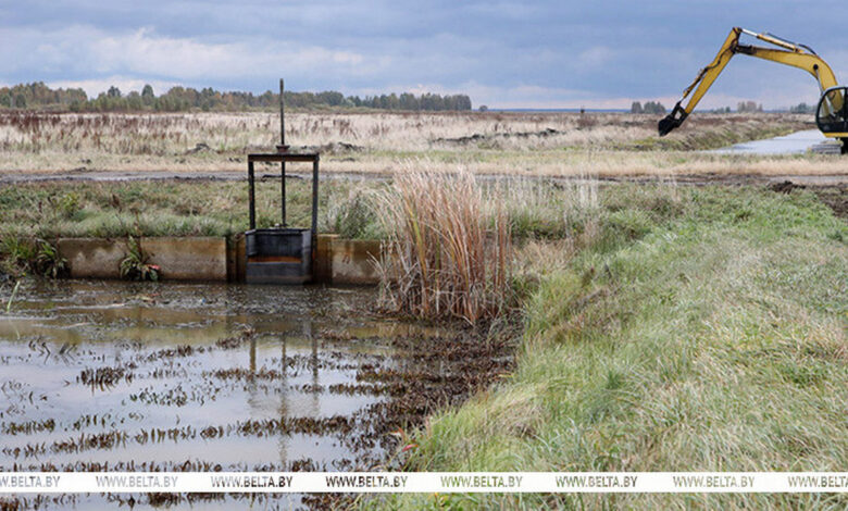 Лукашенко заявил