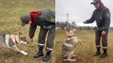 на границе служит уникальная