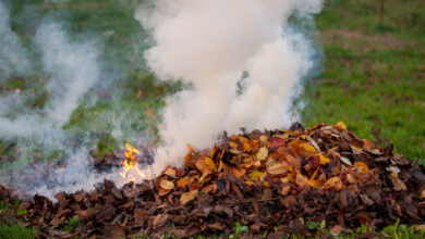 Можно ли жечь костры