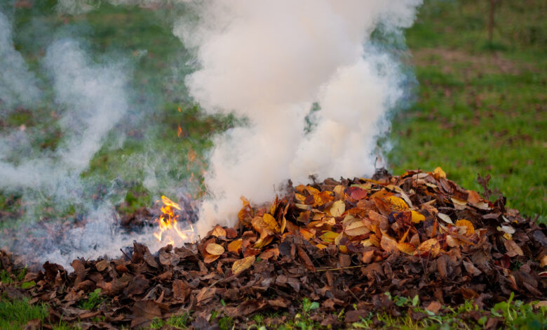 Можно ли жечь костры