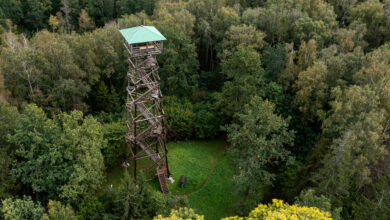 ЧАЭС как на ладони: смотровая