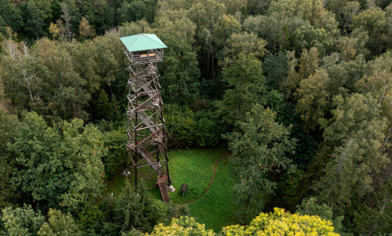 ЧАЭС как на ладони: смотровая